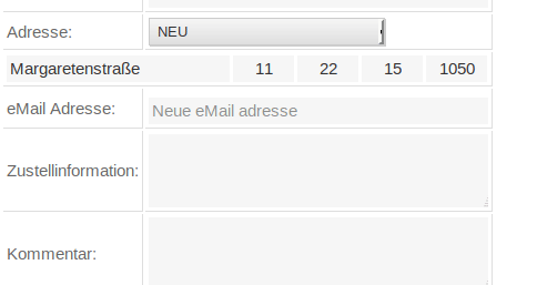 Animation der Straßenerkennung mit Vorschlagsliste bei der Adresseingabe im Order-Control-Partnersystem